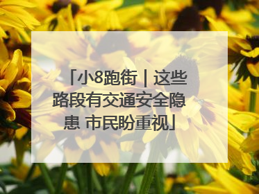 小8跑街｜这些路段有交通安全隐患 市民盼重视