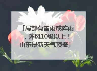 局部有雷雨或阵雨，阵风10级以上！山东最新天气预报