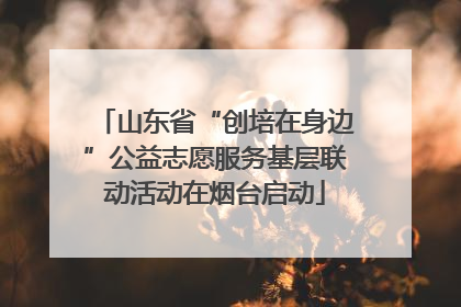 山东省“创培在身边”公益志愿服务基层联动活动在烟台启动