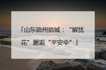 山东德州德城：“解忧花”邂逅“平安伞”