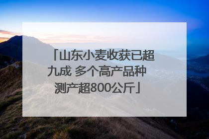 山东小麦收获已超九成 多个高产品种测产超800公斤
