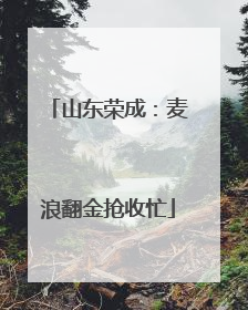 山东荣成：麦浪翻金抢收忙