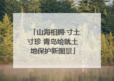 山海相拥·寸土寸珍 青岛绘就土地保护新图景
