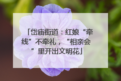 岱庙街道：红娘“牵线”不牵礼，“相亲会”里开出文明花