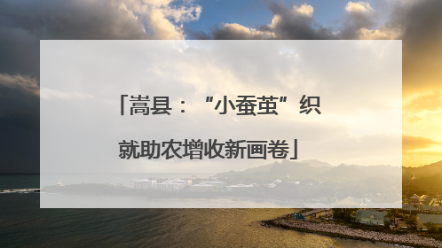 嵩县：“小蚕茧”织就助农增收新画卷