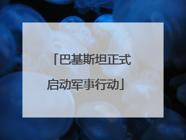 巴基斯坦正式启动军事行动