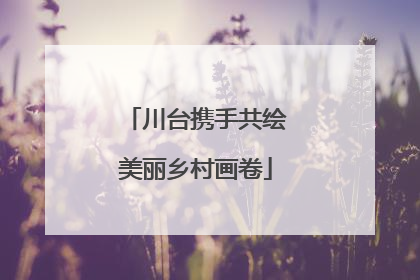 川台携手共绘美丽乡村画卷