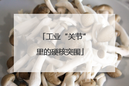 工业“关节”里的硬核突围