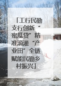 工行民勤支行创新“蜜瓜贷”精准滴灌“产业田”全链赋能民勤乡村振兴