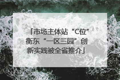 市场主体站“C位” 衡东“一区三园”创新实践被全省推介