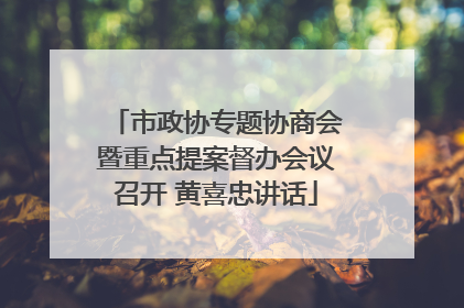 市政协专题协商会暨重点提案督办会议召开 黄喜忠讲话