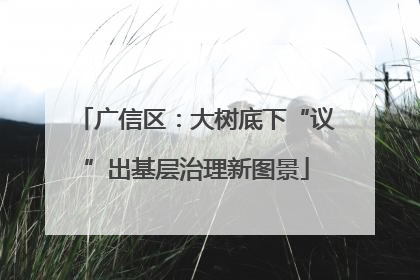 广信区：大树底下“议”出基层治理新图景