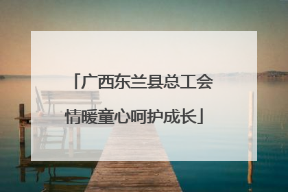广西东兰县总工会情暖童心呵护成长