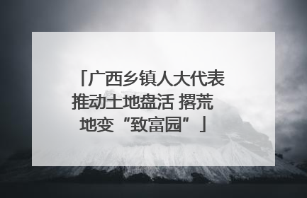 广西乡镇人大代表推动土地盘活 撂荒地变“致富园”