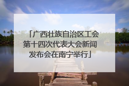 广西壮族自治区工会第十四次代表大会新闻发布会在南宁举行