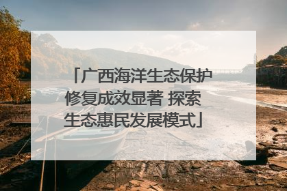 广西海洋生态保护修复成效显著 探索生态惠民发展模式
