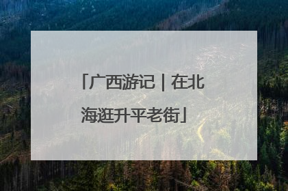 广西游记｜在北海逛升平老街