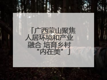 广西蒙山聚焦人居环境和产业融合 培育乡村“内在美”