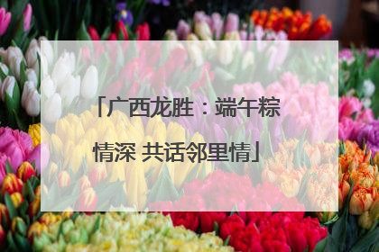 广西龙胜：端午粽情深 共话邻里情