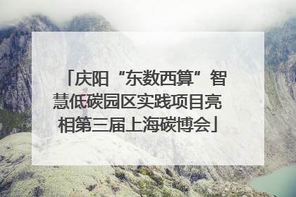 庆阳“东数西算”智慧低碳园区实践项目亮相第三届上海碳博会