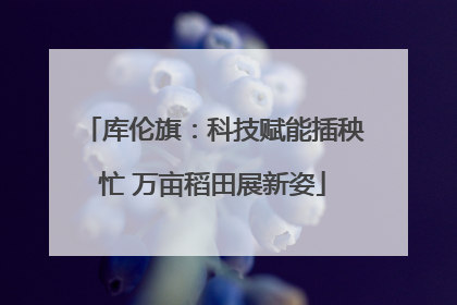 库伦旗：科技赋能插秧忙 万亩稻田展新姿