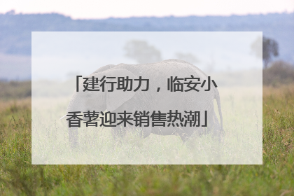 建行助力，临安小香薯迎来销售热潮