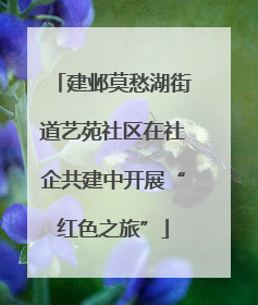 建邺莫愁湖街道艺苑社区在社企共建中开展“红色之旅”