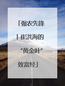 强农先锋丨崔洪海的“黄金叶”致富经
