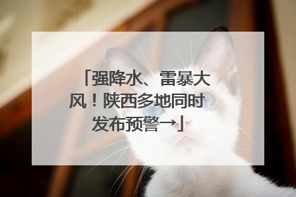 强降水、雷暴大风！陕西多地同时发布预警→