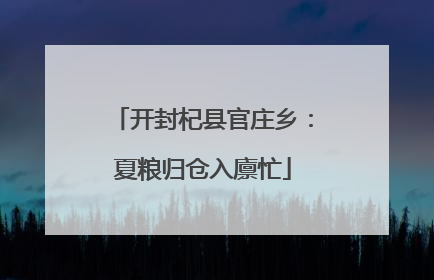 开封杞县官庄乡：夏粮归仓入廪忙