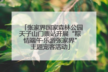 张家界国家森林公园天子山门票站开展“粽情端午·乐游张家界”主题宠客活动