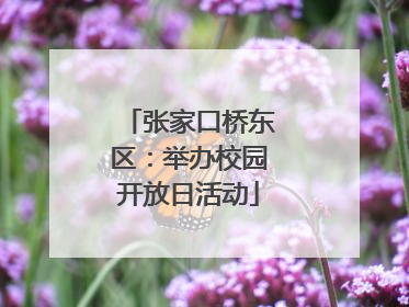 张家口桥东区：举办校园开放日活动