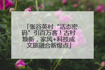张谷英村“活态密码”引百万客！古村焕新，家风+科技成文旅融合新爆点