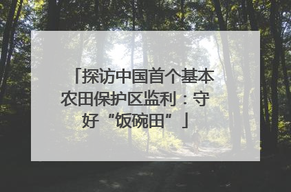 探访中国首个基本农田保护区监利：守好“饭碗田”