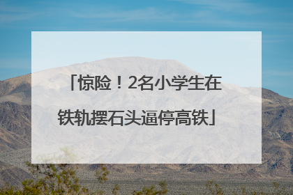 惊险！2名小学生在铁轨摆石头逼停高铁