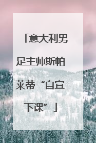 意大利男足主帅斯帕莱蒂“自宣下课”