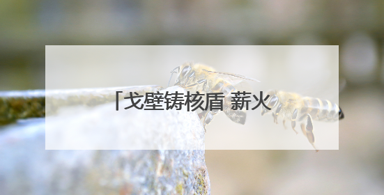 戈壁铸核盾 薪火传校园 全国模范退役军人洛阳宣讲“两弹一星”精神
