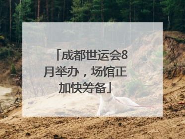 成都世运会8月举办，场馆正加快筹备