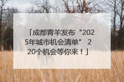 成都青羊发布“2025年城市机会清单” 220个机会等你来！