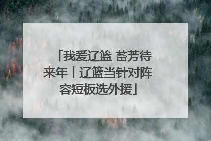 我爱辽篮 蓄芳待来年丨辽篮当针对阵容短板选外援