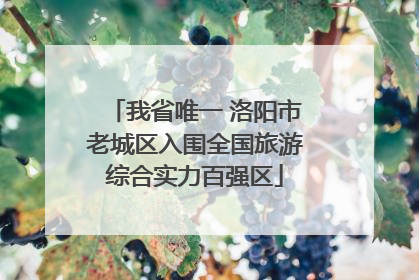 我省唯一 洛阳市老城区入围全国旅游综合实力百强区