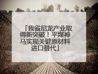 我省尼龙产业取得新突破！平煤神马实现关键原材料进口替代