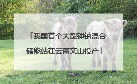 我国首个大型锂钠混合储能站在云南文山投产