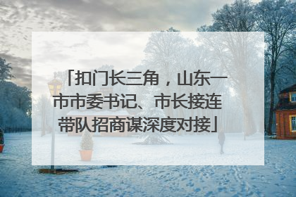 扣门长三角，山东一市市委书记、市长接连带队招商谋深度对接