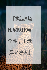 执法3场印尼队比赛全胜，主裁是老熟人