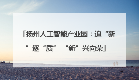 扬州人工智能产业园：追“新”逐“质” “新”兴向荣