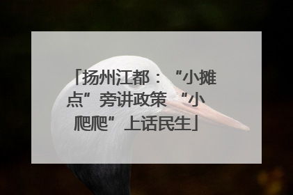 扬州江都：“小摊点”旁讲政策 “小爬爬”上话民生