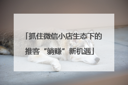 抓住微信小店生态下的推客“躺赚”新机遇