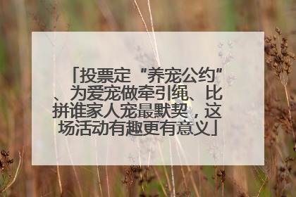 投票定“养宠公约”、为爱宠做牵引绳、比拼谁家人宠最默契，这场活动有趣更有意义