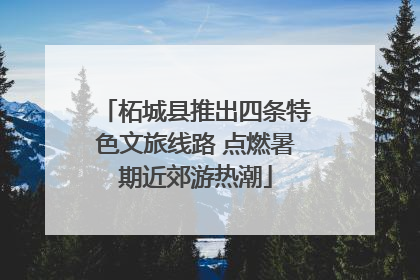 柘城县推出四条特色文旅线路 点燃暑期近郊游热潮